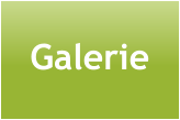 Galerie